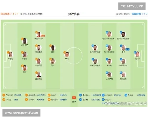 海登海姆对阵勒沃库森,升班马挑战状态波动对手